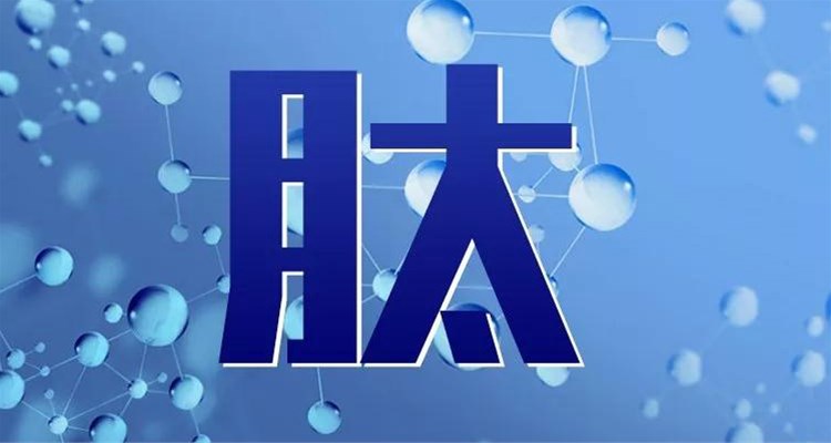 保護(hù)人類健康的新秘訣——小分子肽！