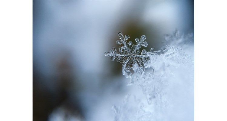 降溫了，這份健康指南，請轉(zhuǎn)給你關(guān)心的人！